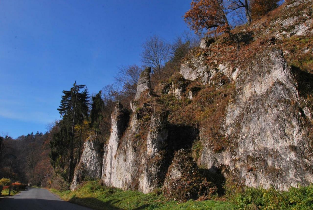 Pokoje Goscinne U Grazyny Ojcow Luaran gambar