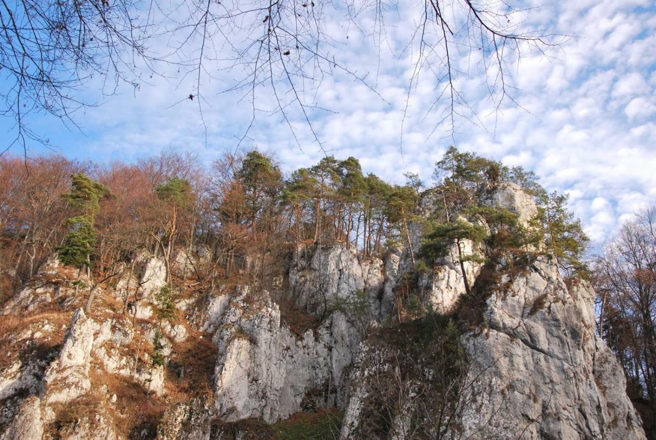 Pokoje Goscinne U Grazyny Ojcow Luaran gambar