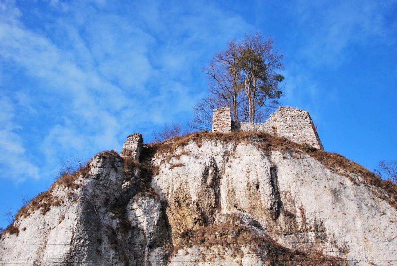 Pokoje Goscinne U Grazyny Ojcow Luaran gambar