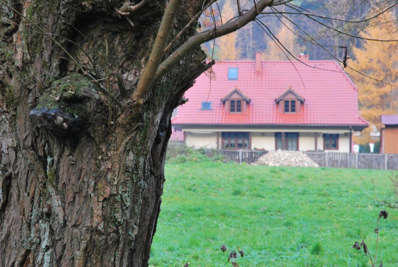 Pokoje Goscinne U Grazyny Ojcow Luaran gambar