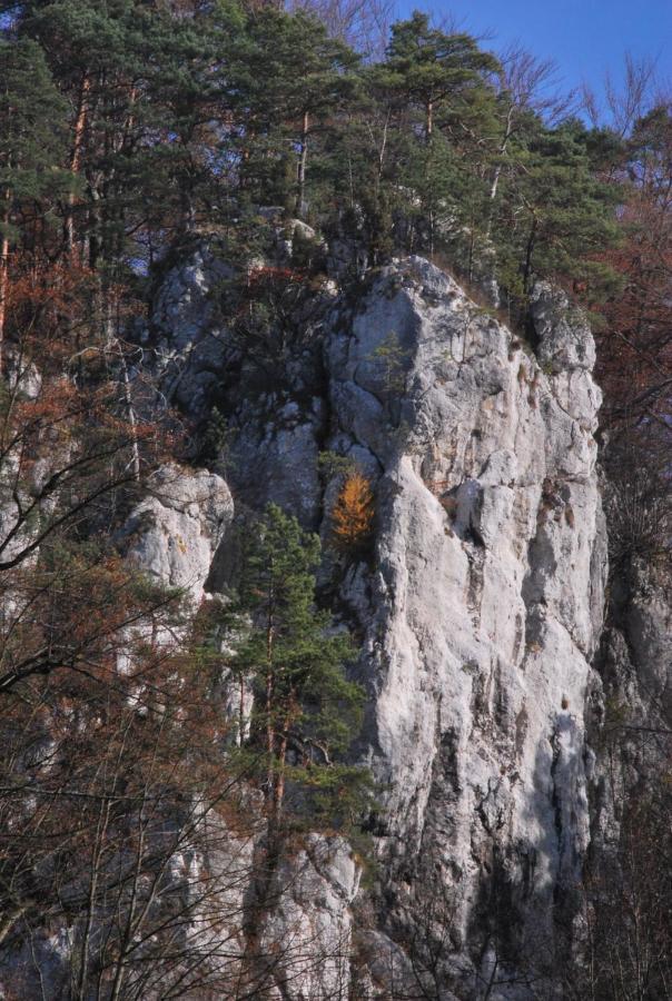 Pokoje Goscinne U Grazyny Ojcow Luaran gambar