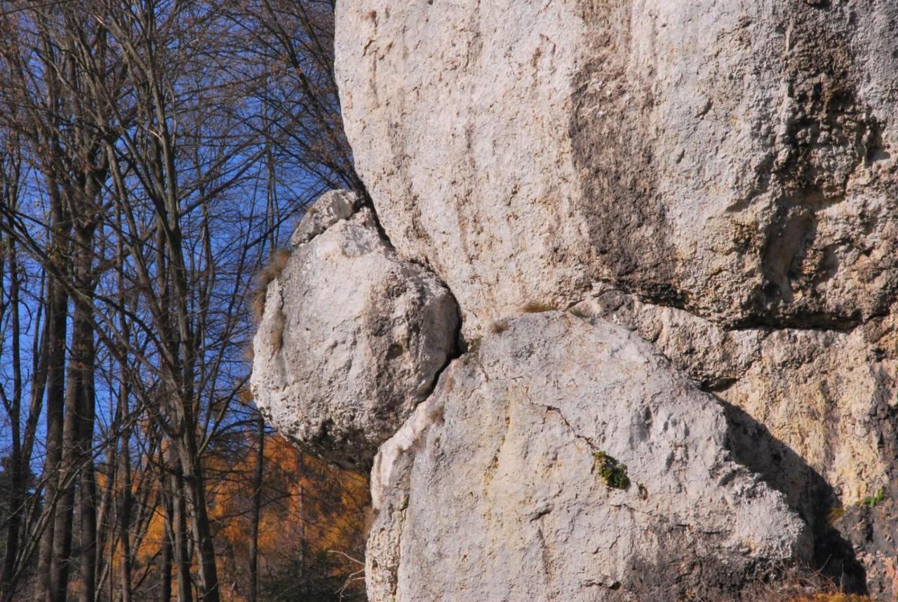 Pokoje Goscinne U Grazyny Ojcow Luaran gambar