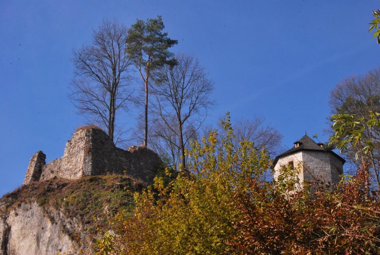 Pokoje Goscinne U Grazyny Ojcow Luaran gambar