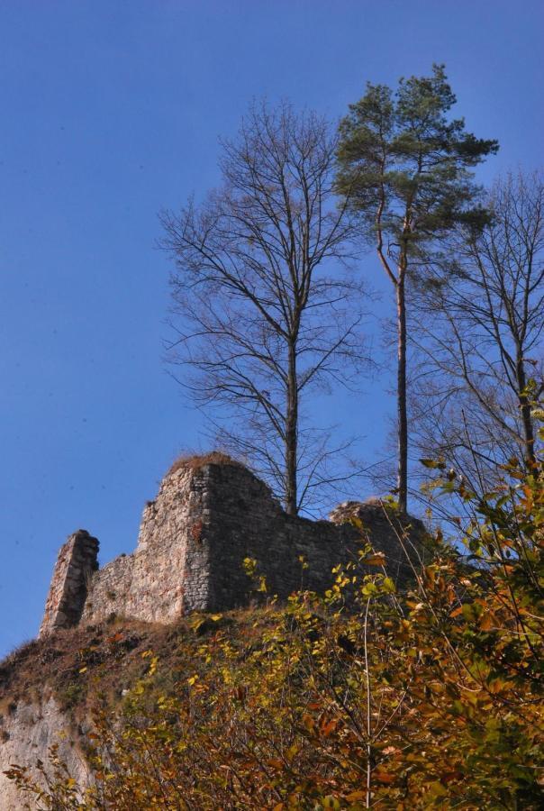 Pokoje Goscinne U Grazyny Ojcow Luaran gambar