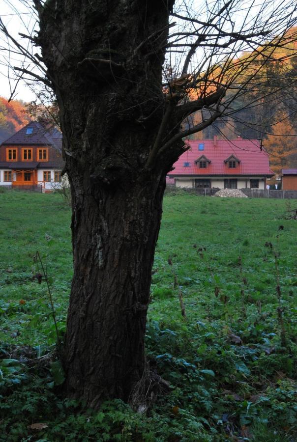 Pokoje Goscinne U Grazyny Ojcow Luaran gambar