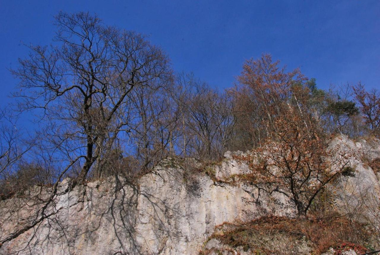 Pokoje Goscinne U Grazyny Ojcow Luaran gambar