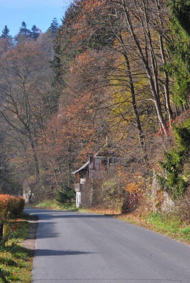 Pokoje Goscinne U Grazyny Ojcow Luaran gambar