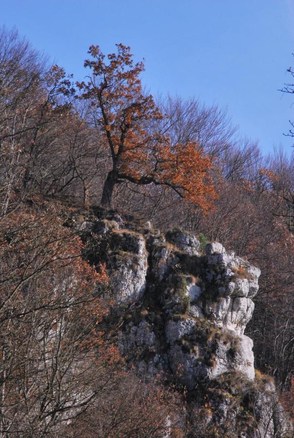 Pokoje Goscinne U Grazyny Ojcow Luaran gambar