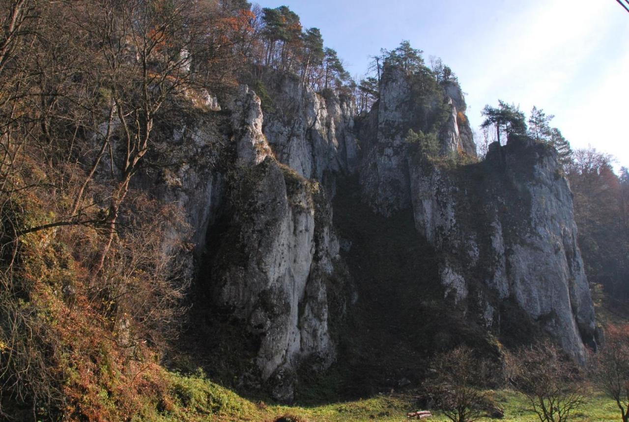 Pokoje Goscinne U Grazyny Ojcow Luaran gambar