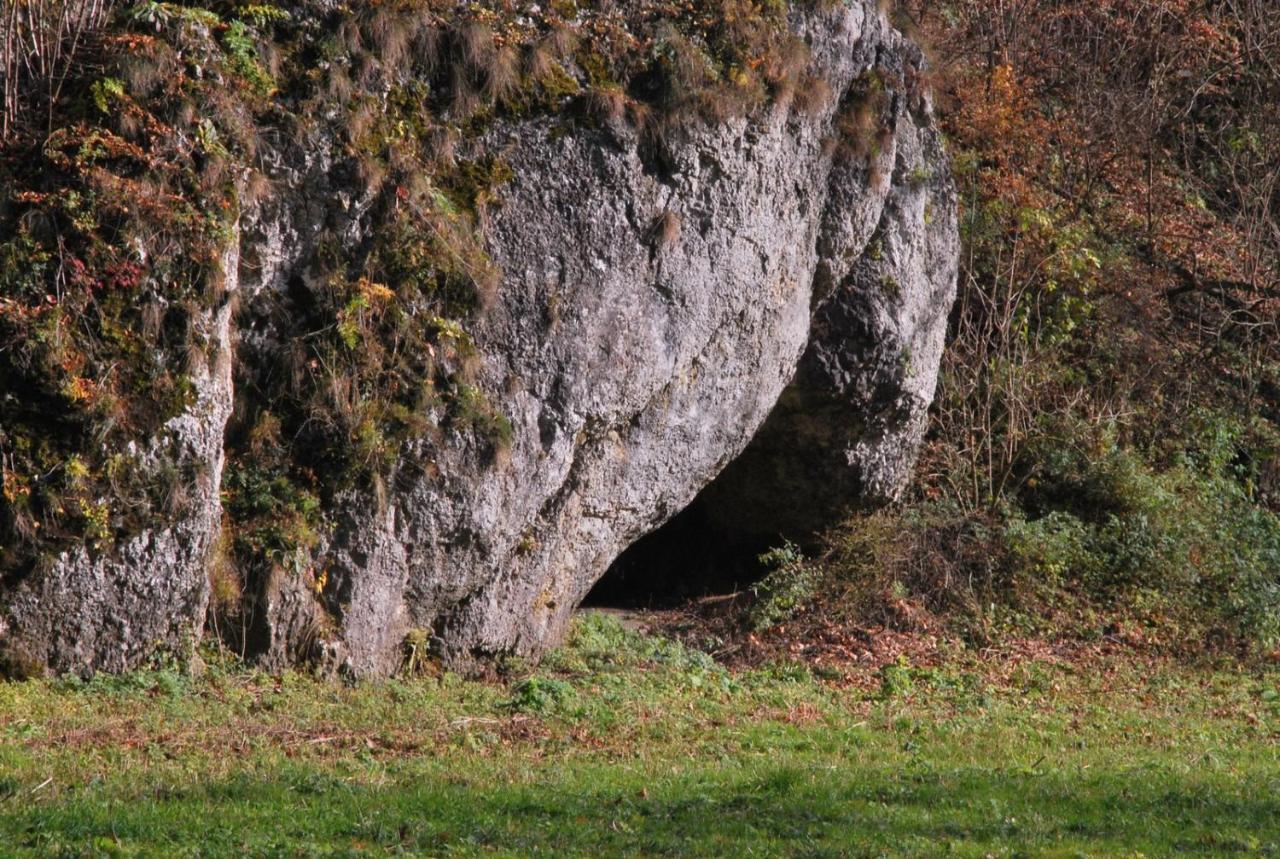 Pokoje Goscinne U Grazyny Ojcow Luaran gambar