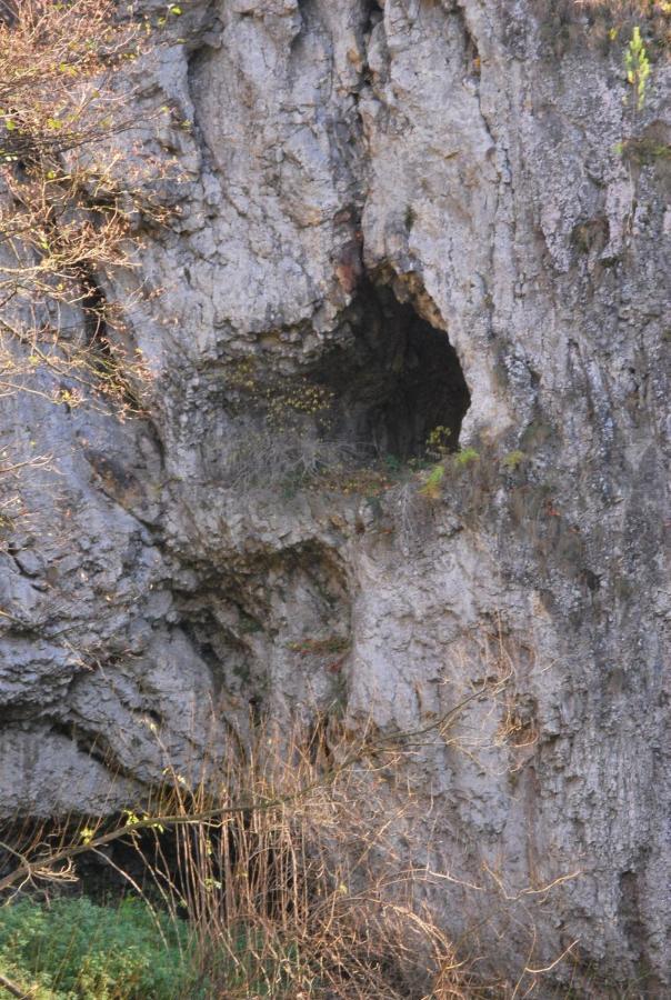 Pokoje Goscinne U Grazyny Ojcow Luaran gambar