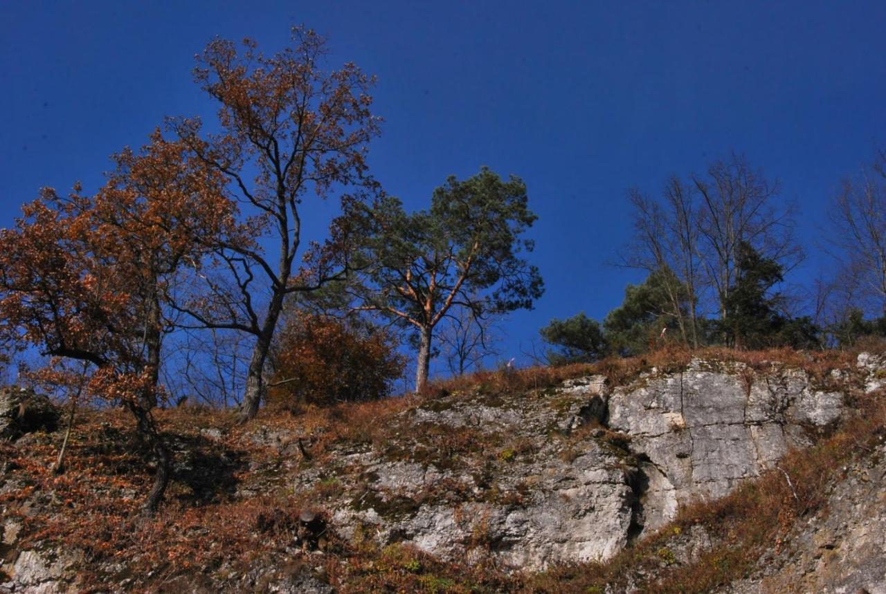 Pokoje Goscinne U Grazyny Ojcow Luaran gambar