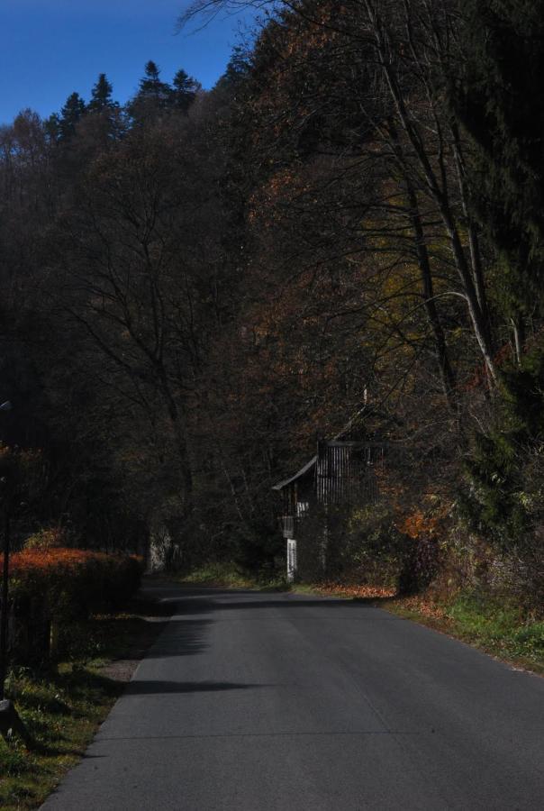 Pokoje Goscinne U Grazyny Ojcow Luaran gambar