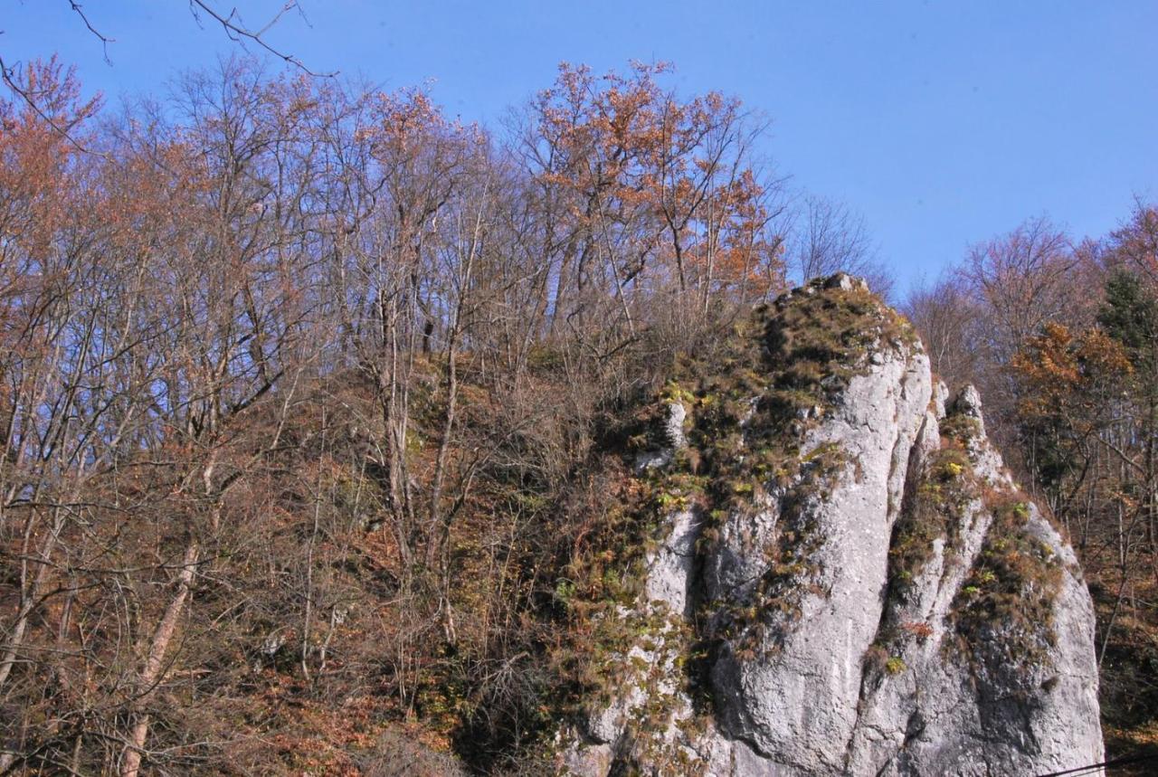 Pokoje Goscinne U Grazyny Ojcow Luaran gambar