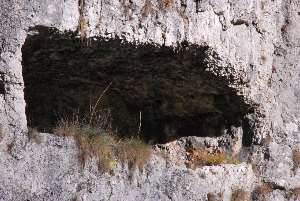 Pokoje Goscinne U Grazyny Ojcow Luaran gambar